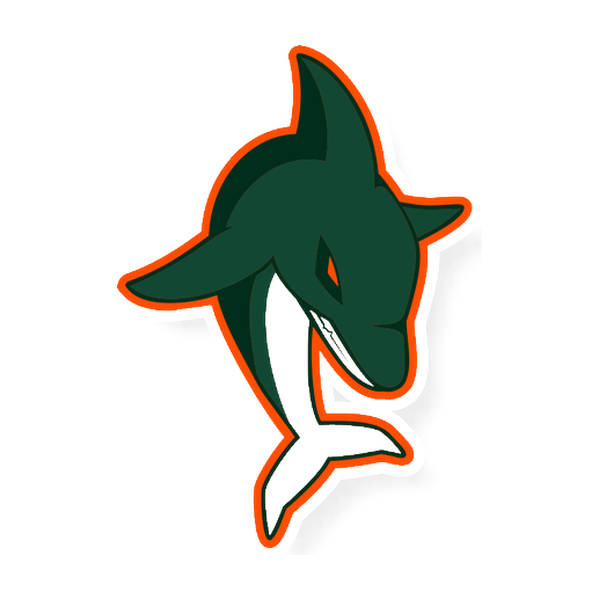 DOLPHINS