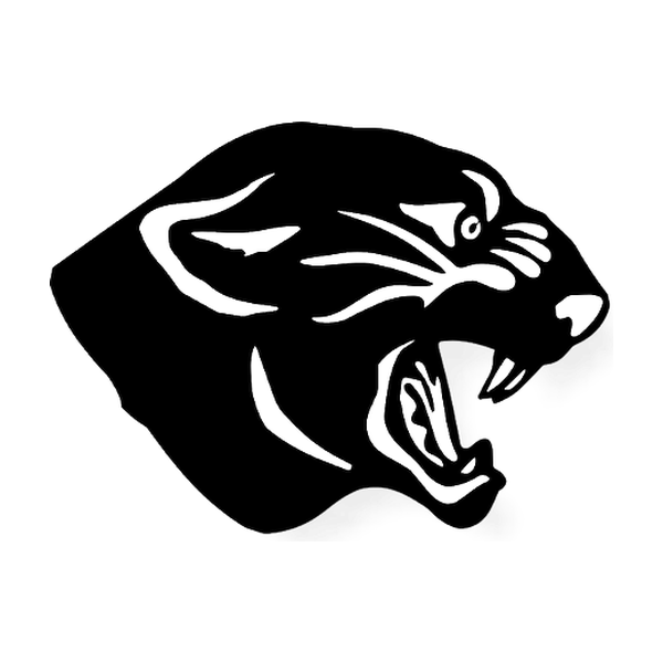 PANTHERS